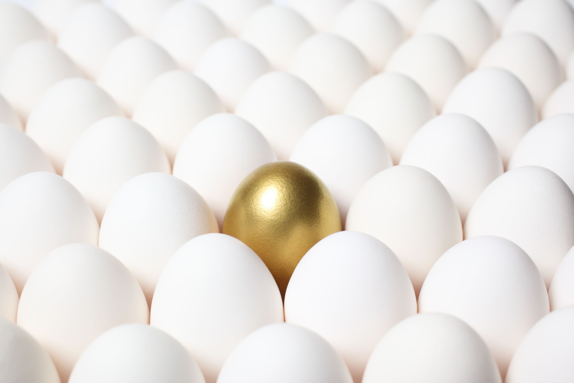 Golden Egg Standing Out from a Crowd of Ordinary Eggs