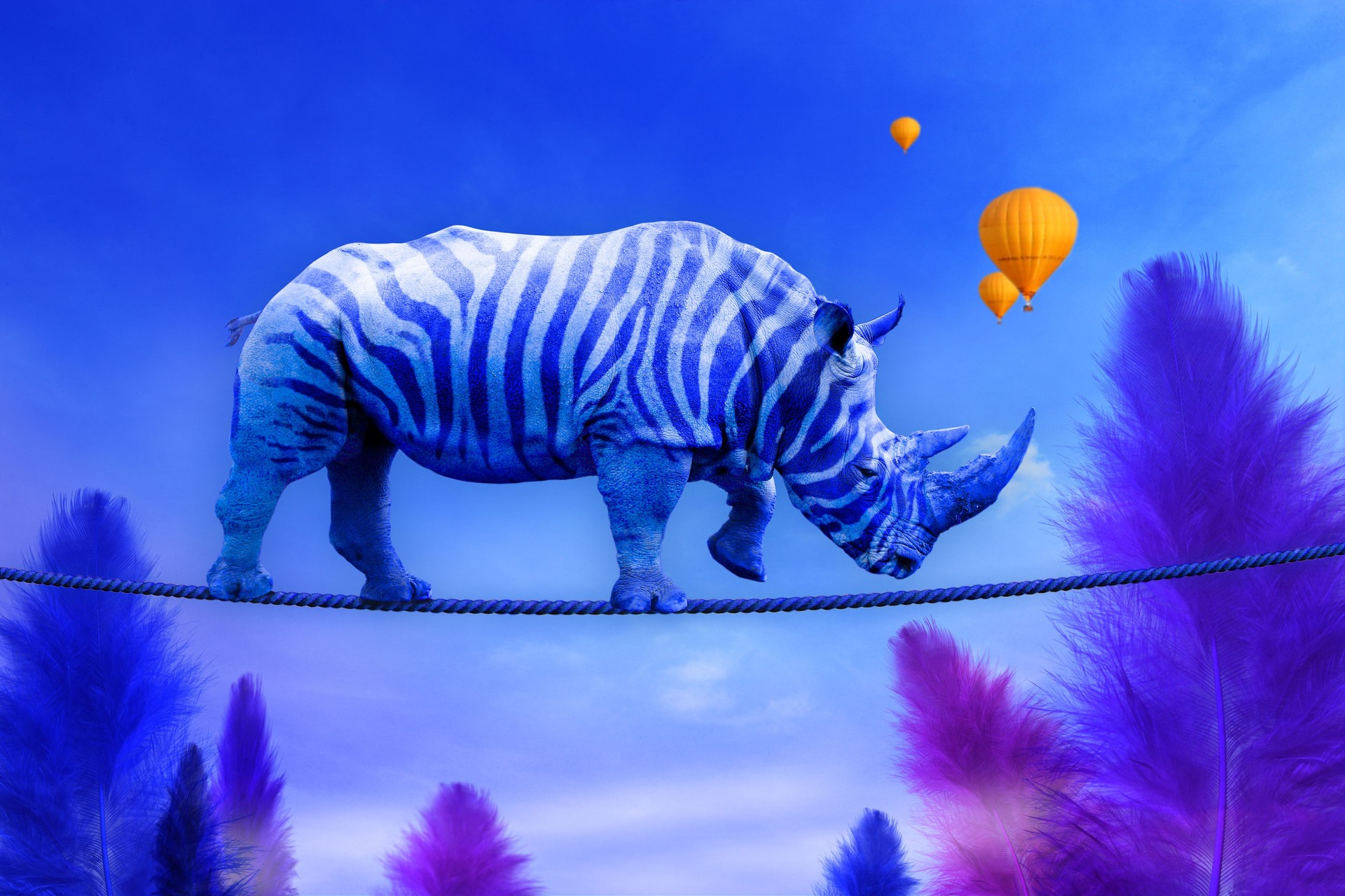Blue rhino with zebra lines walking on a rope